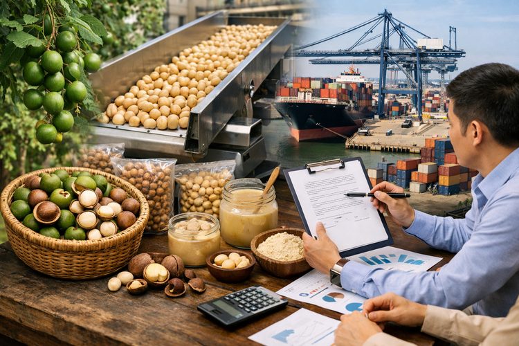 Illustrated placeholder for article titled Origin, Processing and Contract Planning in Macadamia Trade