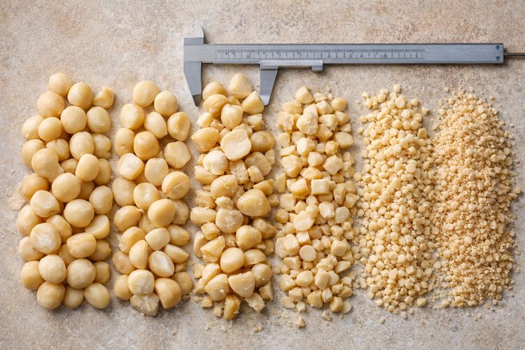 Illustrated placeholder for article titled Macadamia Kernel Grades, Size Ranges and Buyer Briefs